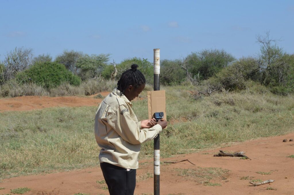 Meet Our Researchers: Eunitah Makokha