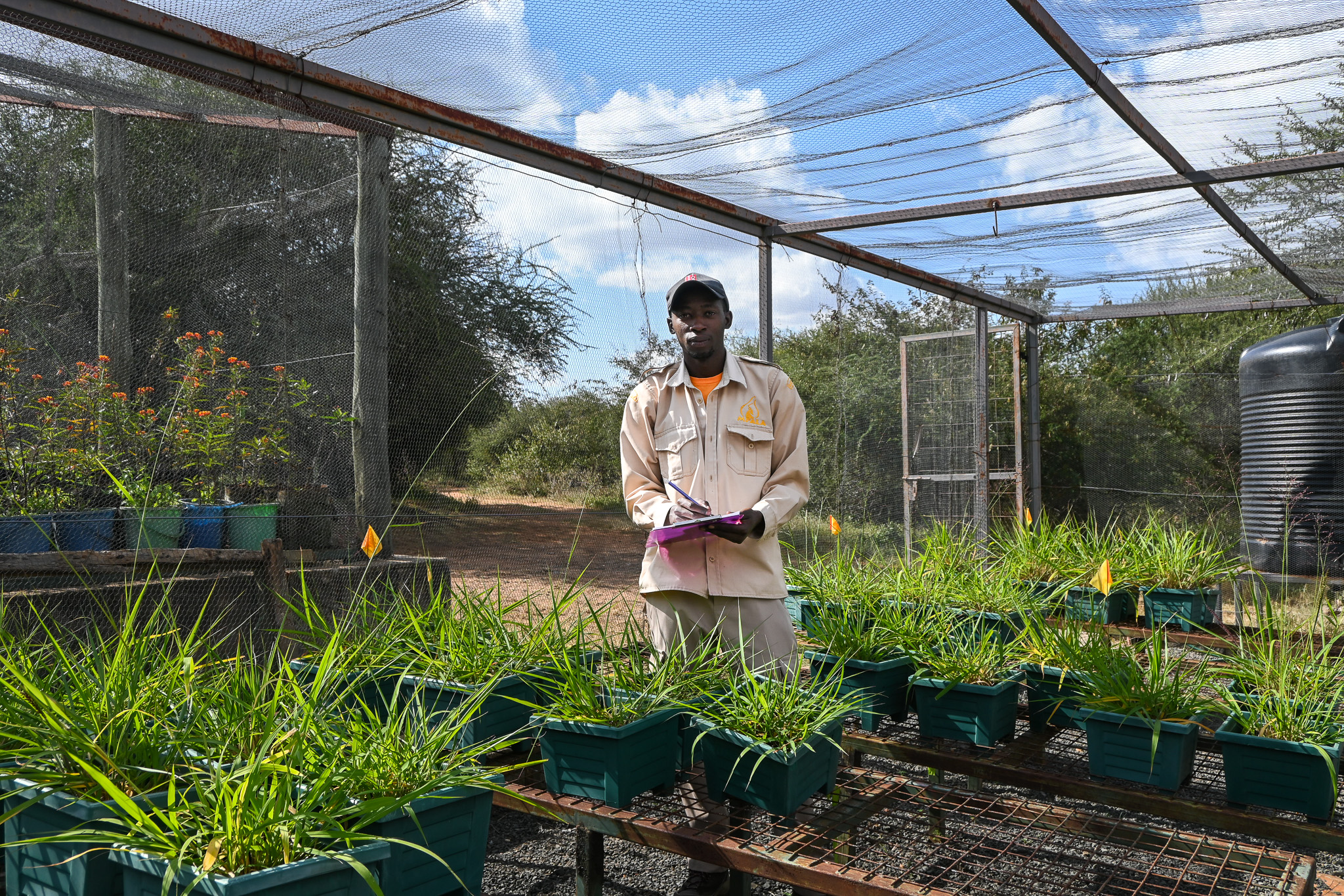 Meet Our Researchers: Godfrey Gitimu