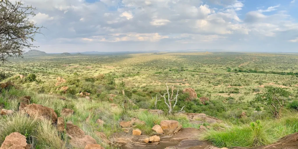 Mpala Landscape Megan McDaniels