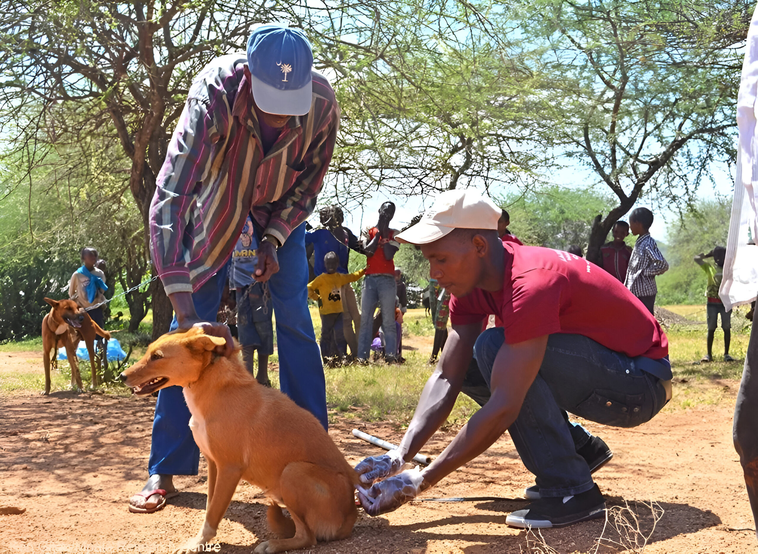 Mpala Rabies Vaccination