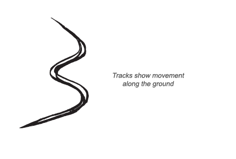 Cobra tracks and scat