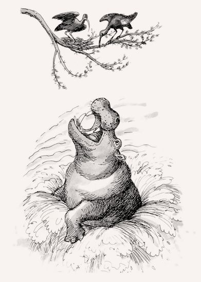Hippopotamus illustration