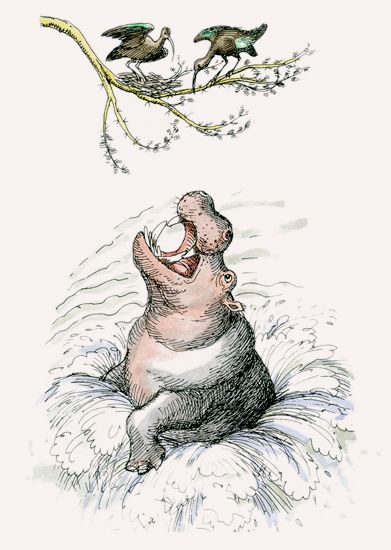 Hippopotamus