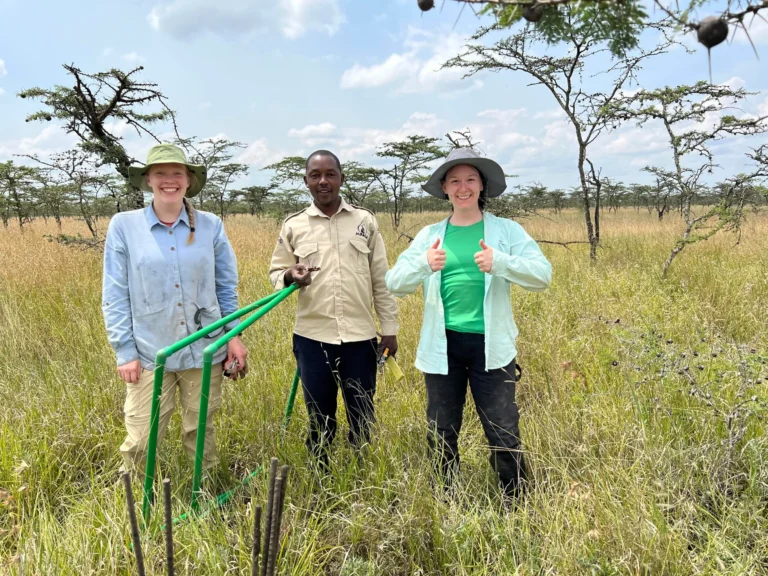 savanna-ecology-klee-interactive-effects-of-fire-and-grazing-on-carbon-accumulation-in-grasslands