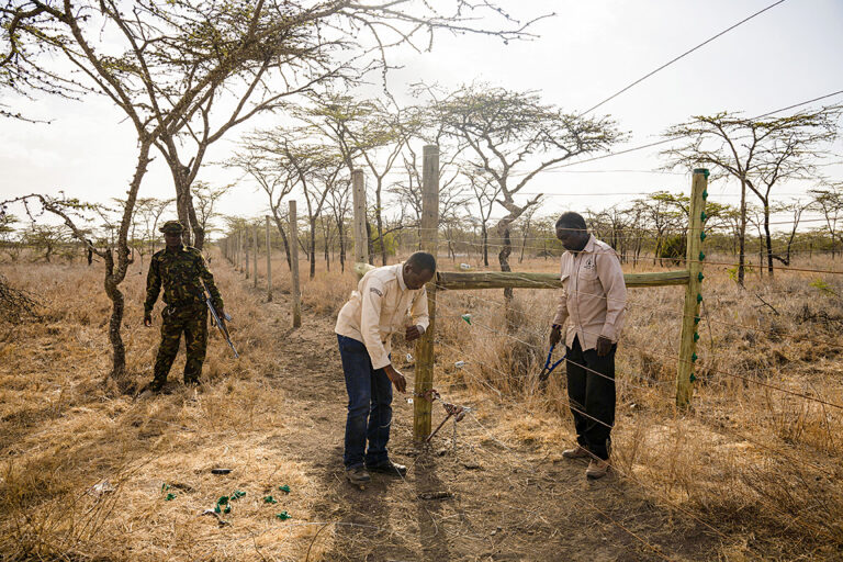 Savanna Ecology – Kenya Long-term Exclosure Experiment (KLEE)