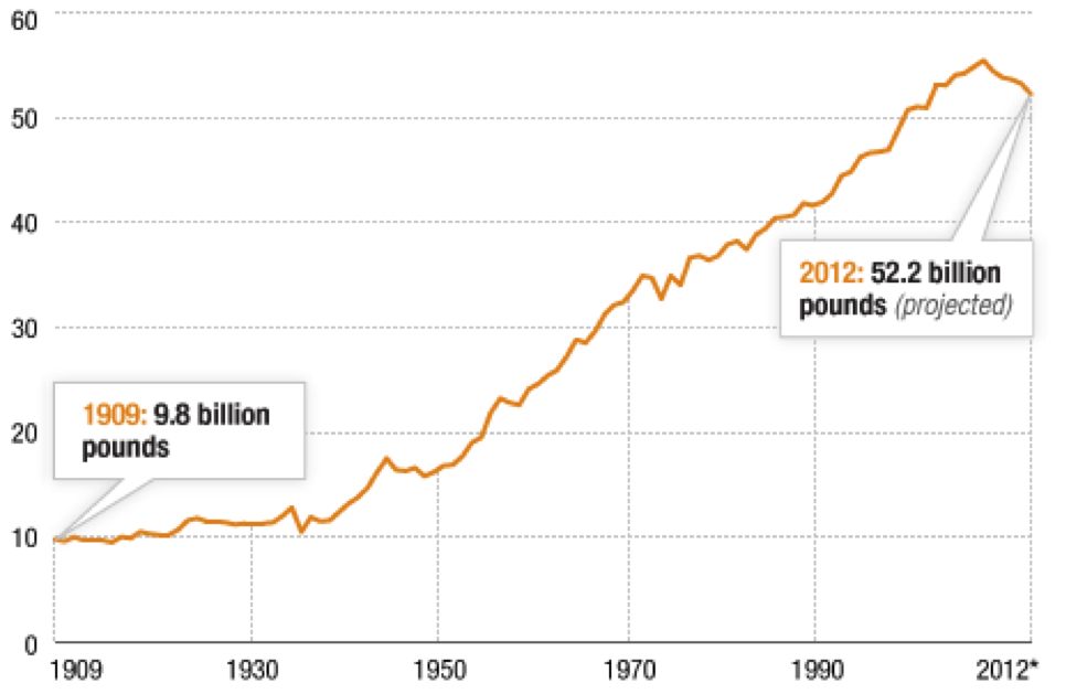 Beef Consumption Graph