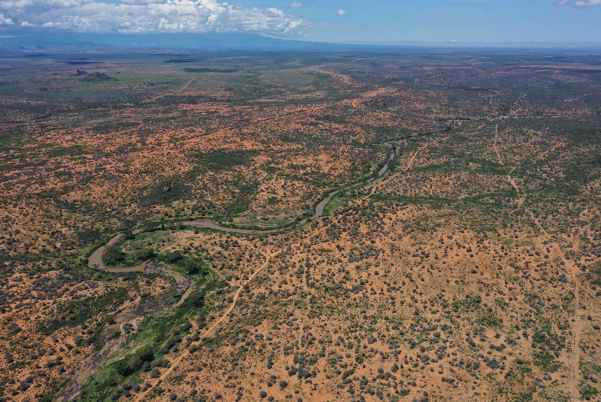 Habitats and Communities