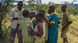Kenya Curriculum