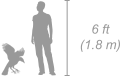 African harrier hawk shown next to a 6 ft (1.8 m) person for scale