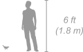 Baglafecht weaver shown next to a 6 ft (1.8 m) person for scale