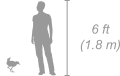 Black Crake shown next to a 6 ft (1.8 m) person for scale