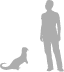 Clawless Otter shown next to a 6 ft (1.8 m) person for scale