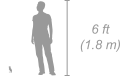 Common Bulbul shown next to a 6 ft (1.8 m) person for scale
