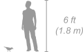 Northern white-crowned shrike shown next to a 6 ft (1.8 m) person for scale