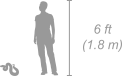 Puff Adder shown next to a 6 ft (1.8 m) person for scale