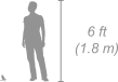 Red-cheeked Cordon-bleu shown next to a 6 ft (1.8 m) person for scale