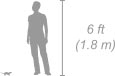 Slender Mongoose shown next to a 6 ft (1.8 m) person for scale