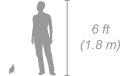 Speke’s Weaver shown next to a 6 ft (1.8 m) person for scale