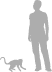 Vervet Monkey shown next to a 6 ft (1.8 m) person for scale