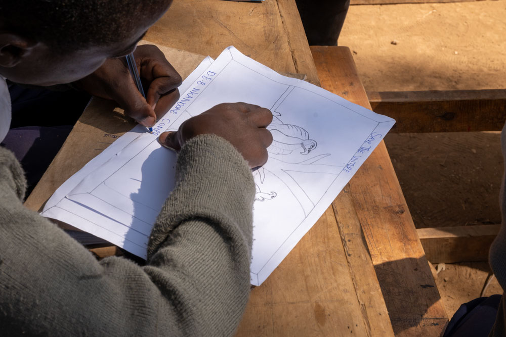 Seeing Vultures Differently: Taking Conservation into the Classroom