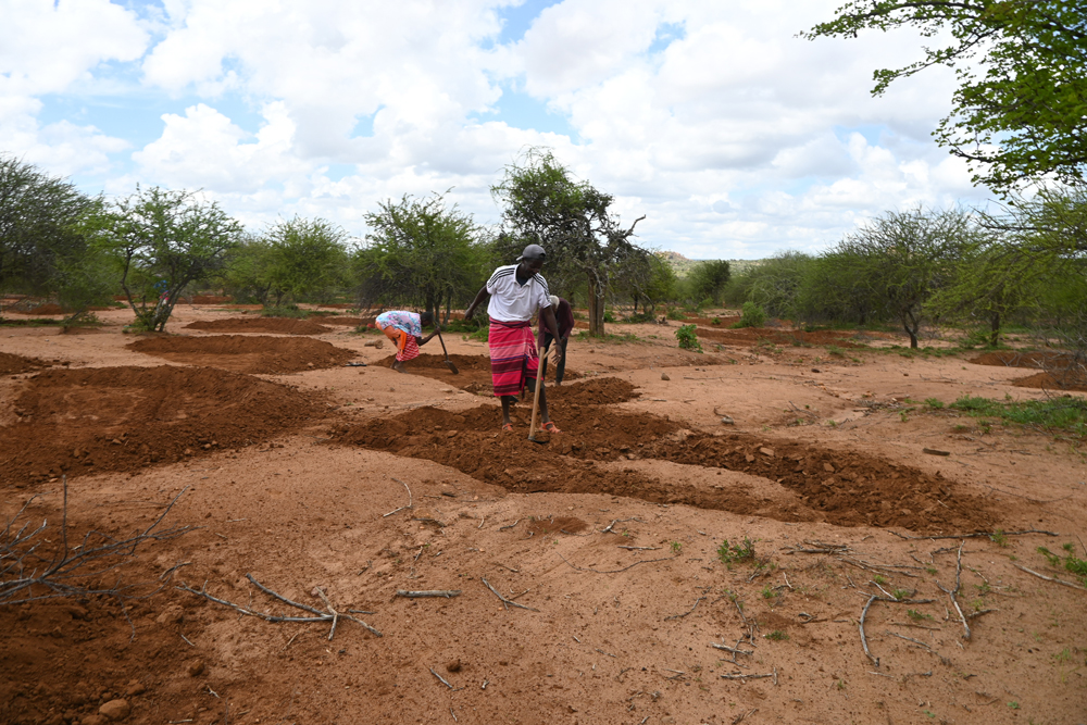 Sustainable Agriculture