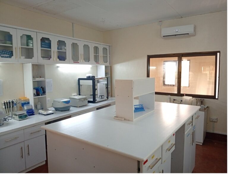 Molecular genomics lab with a central white bench, pipettes, benchtop instruments and glass-fronted storage cabinets