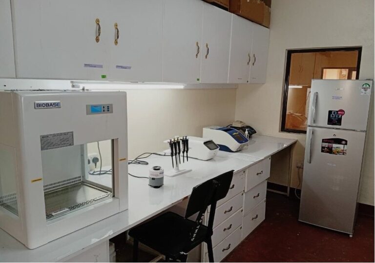 Biosafety cabinet, pipettes and benchtop instruments on a white bench in the molecular genomics lab