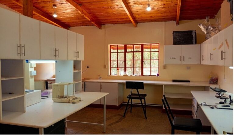 Wet lab with microscopes on white benches, wall cabinets and stools under a timber ceiling
