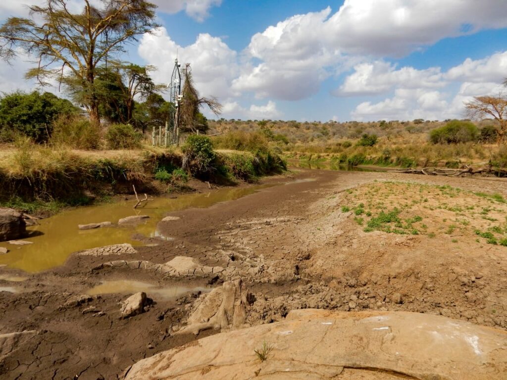 The dried up Ewaso Ng'iro river in 2023.