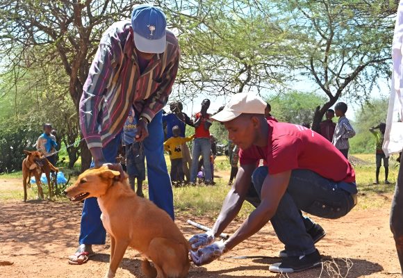 Mpala-Rabies-Vaccination-scaled.jpg