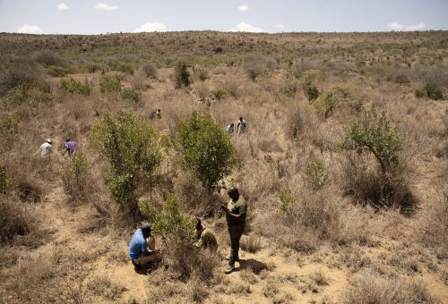 Research_Projects_TJ_01801-ForestGEO